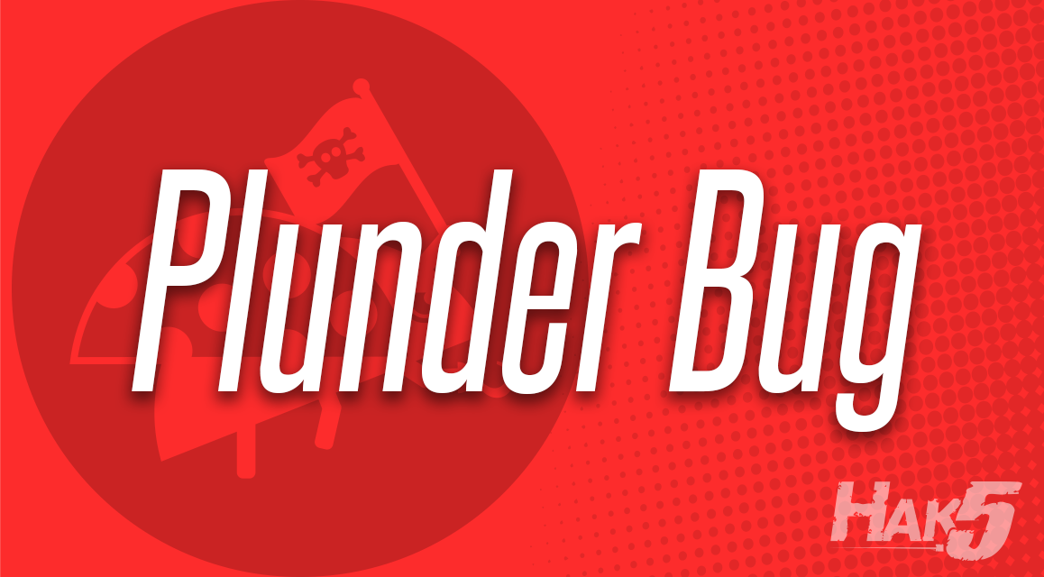 Plunder Bug