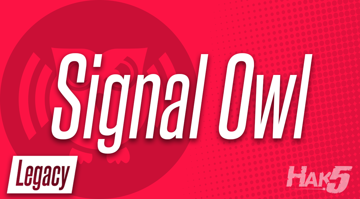 Signal Owl