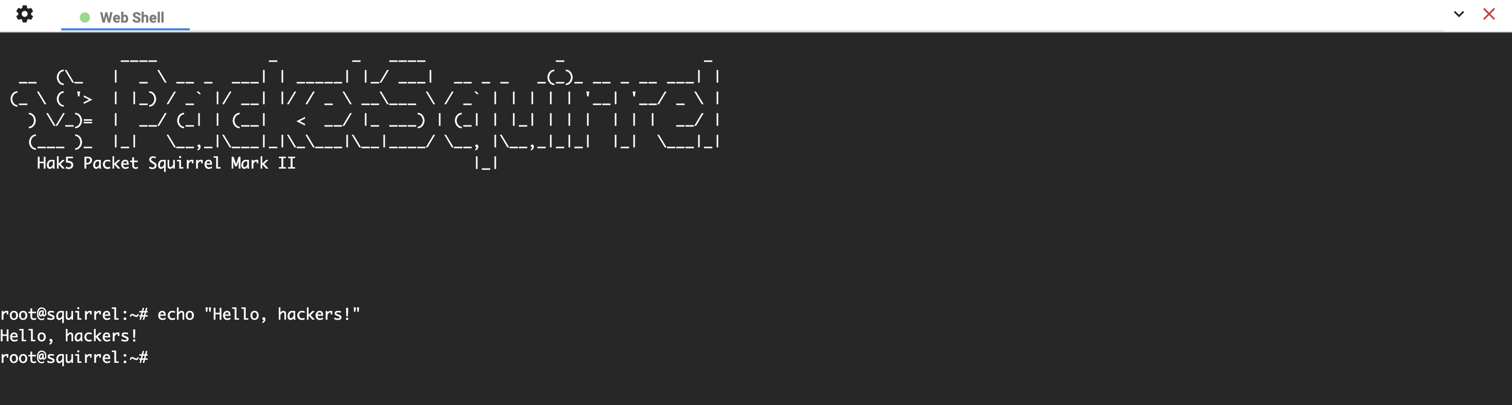 Web terminal session