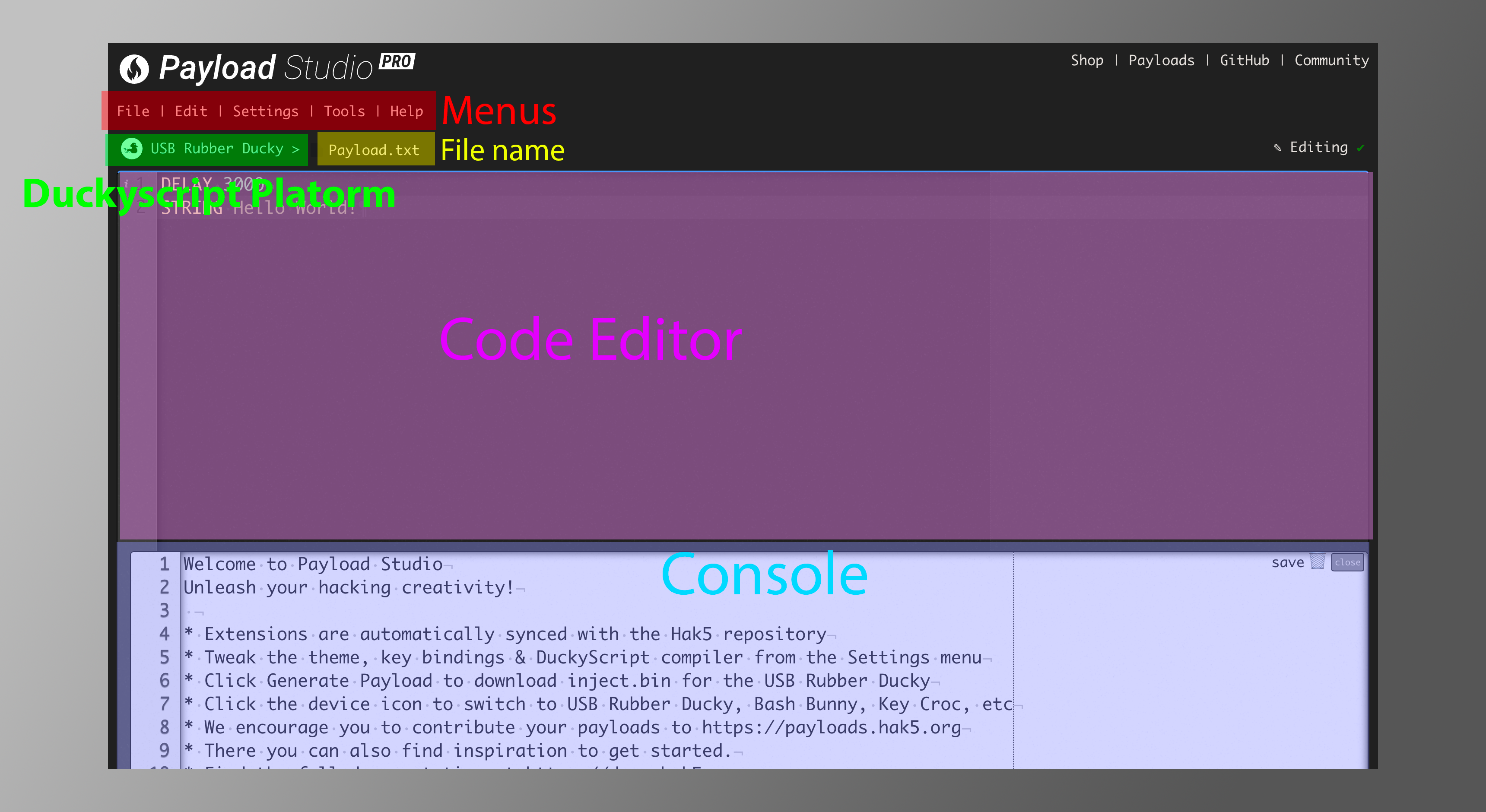 PayloadStudio Overview
